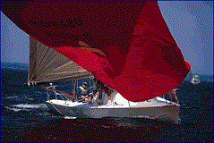 sail boat performance optimization
