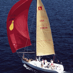 racing sport boat