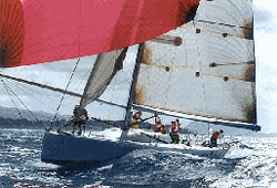 offshore sailboat racing design